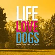 Law of return (2019) online. 2019 Jarhead Law Of Return Poster Home Theater Forum