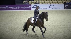 Am erfolgreichsten ritt im hessischen. Meet Dorothee Schneider Ride Better Tv