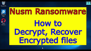 Pilih view kemudian ceklist pada show hiden files. Ehiz Virus Ransomware How To Decrypt Ehiz Files Ehiz File Recovery Guide Youtube
