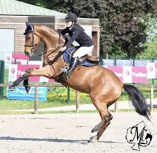 Play horse eventing 3 on funnygames! Pin By Skylar Barnett On Show Jumping Horse Pictures Cute Horse Pictures Horse Photography