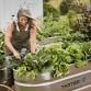 Matakana Country Park Markets event image