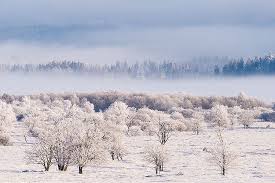 High Fens Botrange Belgium By Bart Heirweg Winter Fotografie Prachtige Plekken Fotografie