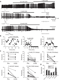 • the glycolytic pathway describes the oxidation of glucose to pyruvate with the generation of atp and nadh. Glycolytic Inhibition By 2 Deoxy D Glucose Abolishes Both Neuronal And Network Bursts In An In Vitro Seizure Model Journal Of Neurophysiology