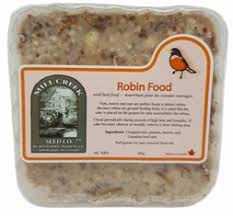 He's something of a moron, as lydia gilligan points out robin is supposed to cook food, not steal it. Robin Food