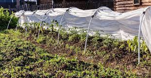 To protect blueberry bushes, fruit trees, and other plants from pesky birds, garden netting comes in handy. How To Protect Your Vegetable Garden From Animals