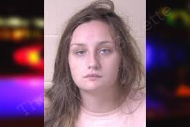 Meagan Long — Walker County Jail Bookings