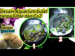 2 Desain Aquarium Bulat Aquascape Bulat Tanpa Filter Dan Co2 Aquarium Batu Kali Youtube