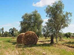 Aucune photo de crédit agricole villeneuve sur yonne pour le moment, ajoutez une photo. Agrarwetter Departement Lot Et Garonne Frankreich Agrarwettervorhersage Lot Et Garonne