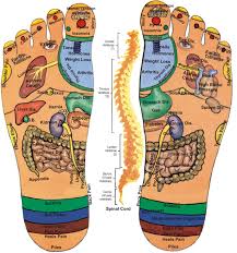 Acupressure Foot Image Reflexology Foot Reflexology