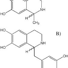 Pdf Roles Of Dioxins And Heavy Metals In Cancer And Neurological Diseases Using Ros Mediated Mechanisms
