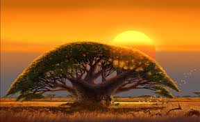 Madagascar Escape 2 Africa The Art Of Yoriko Ito Aesthetic Painting Madagascar Escape 2 Africa Cartoon World