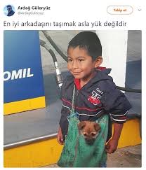 Anlamli Dusundurucu Eglenceli Guzel Komik Konusan Resimler Konusan Resimler Www Kizlarinsirlari Club Resimler Fotograf Komik