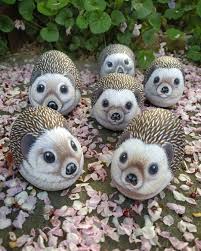 Gefallt 305 Mal 12 Kommentare Bricioledimare Armariannamaria Auf Instagram Porcospino Riccio Hedgehog Painter Painted Rocks Rock Art Camping Crafts
