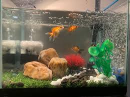 Artificial Grass Mat For Aquarium Artificial Grass Mat Artificial Grass Mini Aquarium