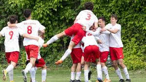 Image result for fotbal foarfeca