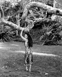 Image result for MADELEINE STOWE