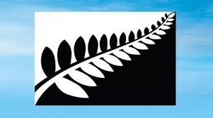 Apply the copied promo code when you checkout. Nz Flag Referendum Silver Fern Wins First Stage 9news