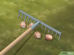 Holes and more holes in planters. 3 Ways To Get Rid Of Chipmunks Wikihow