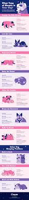 Check spelling or type a new query. 10 Dog Sleeping Positions The Adorable Meaning Behind Them Casper Blog