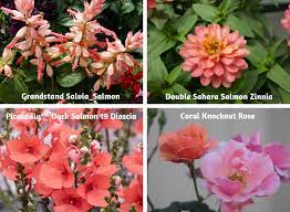 Maybe you would like to learn more about one of these? Coral Flowers In The Garden Garden Design Gardening Blooming Secrets