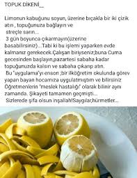 Topuk Dikeni Dogal Saglik Saglikli Olmak Saglikli