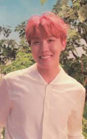 J Hope Love Yourself 承 Her Photocard Version O Hoseok Bts Love Yourself Hoseok Bts