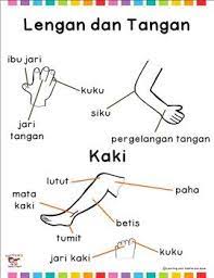 Pin On Bahasa Indonesia