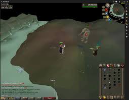 Want to do pest control as part of a package deal, such as general home repair or tree trimming or that will give you a special price if treatment is done immediately. Pest Control How To Pest Control Osrs