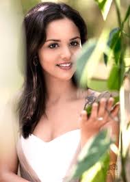 João Stein Fotógrafo