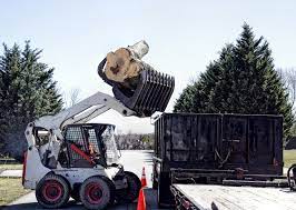Maybe you would like to learn more about one of these? Tree Service Jacksonville Nc Tree Removal Tree Trimming