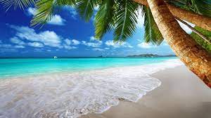 Download hd beach wallpapers best collection. 50 Free Live Beach Wallpaper On Wallpapersafari