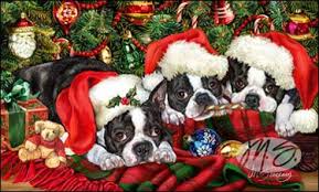 Shop For Cards Boston Terrier Boston Terrier Christmas Boston Terrier Art Boston Terrier