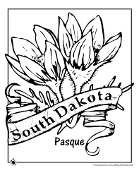 Touch device users, explore by touch or with swipe gestures. South Dakota State Flower Coloring Page Woo Jr Kids Activities