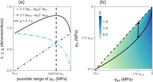 The plant cell is the basic structural and functional unit found in the members of the. Optimal Leaf Water Status Regulation Of Plants In Drylands Scientific Reports