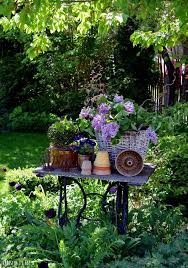 Hof 9 Mai 2018 Topfpflanzen Terrasse Gemusebeet Gartengerumpel