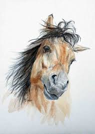 Golden buckskin horse art painting print gold thunder ~ jill claire original. Pretty Buckskin Horse I Want To Play A Cute Little Mare Print Of My Original Watercolor Horse Drawings Horse Painting Horses