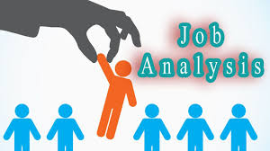 Job Analysis Youtube Best Essay Writing Service Job Analysis Job Search Websites