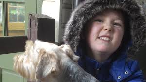 Crowdfunding For Good From JustGiving