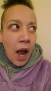 Houndie House Secure Dog Fields and Barn