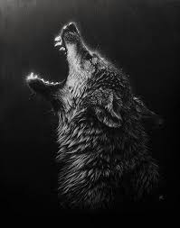 February 14, 2021 by admin. Black And White Wolf Wallpaper Iphone