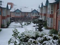 Maybe you would like to learn more about one of these? Floresta Encantada O Seu Sonho Em Gramado Gramado Precios 2021 Actualizados