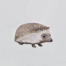 Embroidery By Emillie Ferris Emillieferris Instagram Photos And Videos Embroidery Art Embroidery And Stitching Embroidery