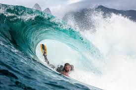 Image result for foto surfínie