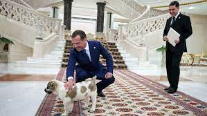 Ближе к году у алабаев завершаются рост собака породы алабай в 1 год весит от 60 до 70 кг, ее рост варьируется от 70 до 80 см в. Prezident Turkmenii Podaril Medvedevu Shenka Alabaya Ria Novosti 03 03 2020