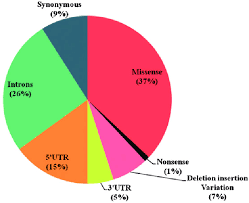 statistics part 2 a the pie chart depicts the percentage