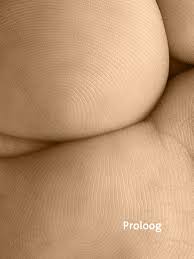 C erebral monitoring during neonatal surg ery for non -cardiac cong enital  anomalies: Lisanne Stolwijk