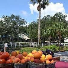 Fernandina beach semesterbostäder semesterpaket till fernandina beach fernandina beach flyg restauranger i fernandina beach fernandina beach sevärdheter shopping i fernandina beach. Twisted Sisters Fernandina Beach 2021 All You Need To Know Before You Go With Photos Tripadvisor