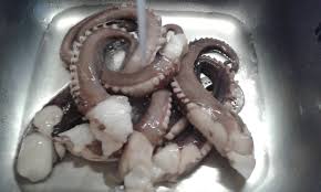 We did not find results for: Cucinaconemidio Insalatona Con Tentacoli Di Totano