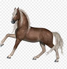 Illustrazioni sfondi fiori disegni dipingere fiori stampe immagini disegno carino. Horse Stallion Animal Farm Nature Mammal Equine Disegni Da Stampare Di Cavalli Png Image With Transparent Background Toppng