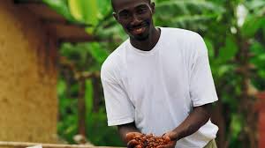 Sometimes called wax plants, hoyas belong to the. From Cocoa To Chocolate Barry Callebaut